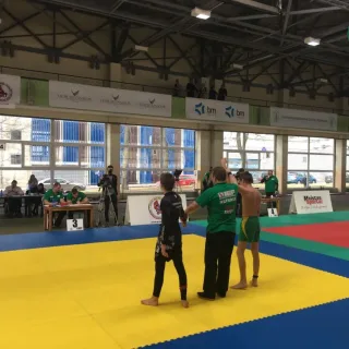 2017-03-18_lietuvos_taure - nuotrauka 29