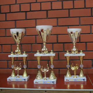 LIETUVOS ATVIRAS IGF  GRAPPLING  GI/NOGI  TAURĖS ČEMPIONATAS - nuotrauka 4