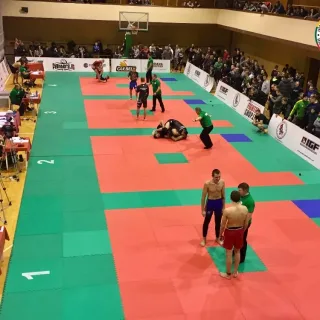 vilniaus-2017-01-28 - nuotrauka 128