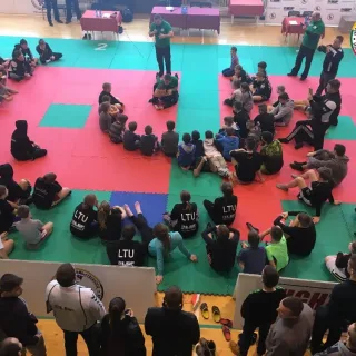 vilniaus-2017-01-28 - nuotrauka 1